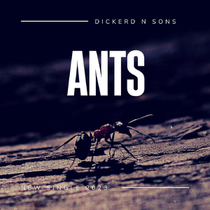 Ants