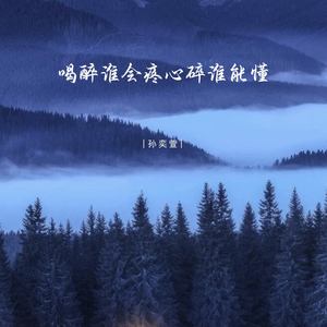 喝醉谁会疼心碎谁能懂 (DJ彭锐版)