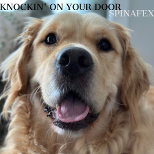 Knockin' On Your Door