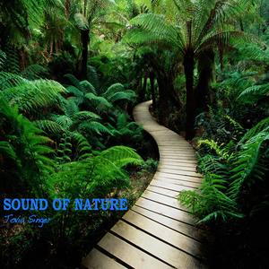 Sound of Nature