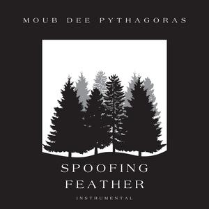 Spoofing Feather
