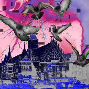 The Comprehender (feat. Tomasz Marchewka)