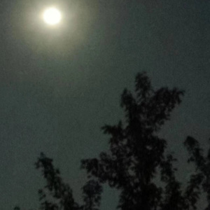 有什么值得纠结