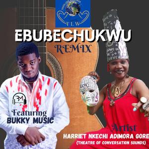 EBUBECHUKWU (BUKKY MUSIC Remix)