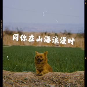 同你在山海浪漫时