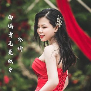 《白墙青瓦是故乡》