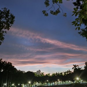 Recollection（忆痕）