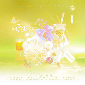 花颜策2023·向阳绽放