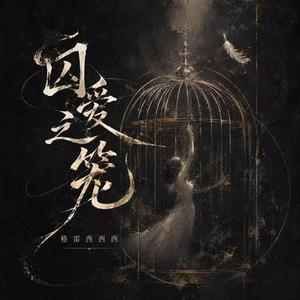 囚爱之笼 (DJ版)降调版