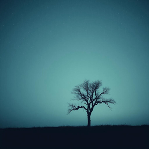 Tears In Time