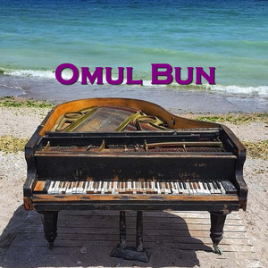 Omul Bun