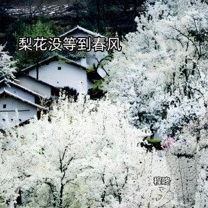 等风停