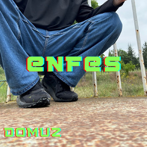 ENFES