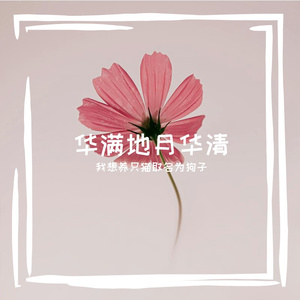 我想养只猫取名