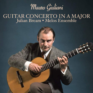 Guitar Concerto No. 1 in A Major, Op. 30: II. Andantino siciliano