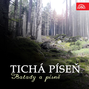 Já vím, co mi chceš říct