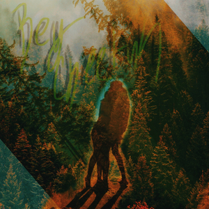 Inmenso Bosque (2023 Remastered Version)