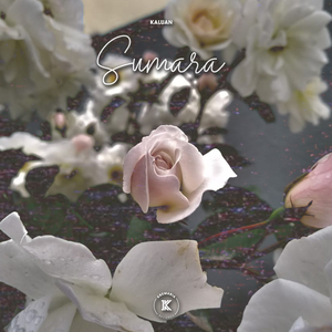 Sumara (Original Mix)