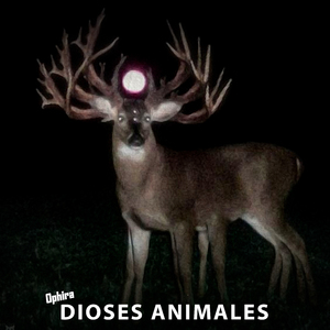 Dioses Animales