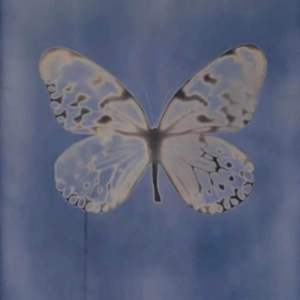 年轻家（Prod by SAXON)