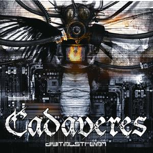 Mindstream (Acoustic version)