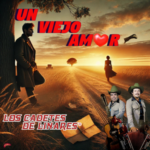 Un Viejo Amor