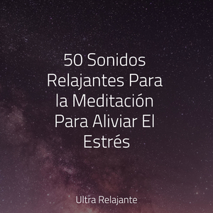 Niebla en La Ventana