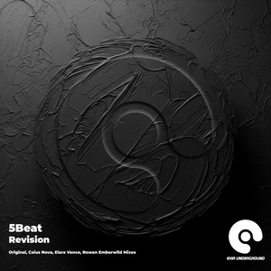 Revision (Rowan Emberwild Remix)