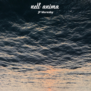 Nell'anima