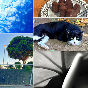 どうにかなりそう