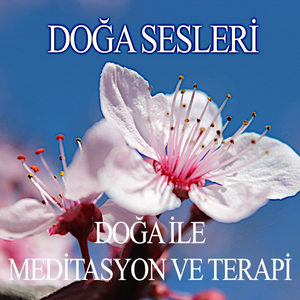 Ağaçların Dansı (Atatürk Arboretum)