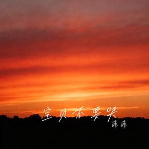 宝贝不要哭 (Cover 王佳音)