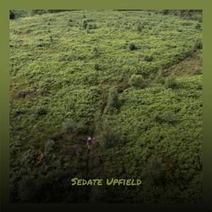 Sedate Upfield