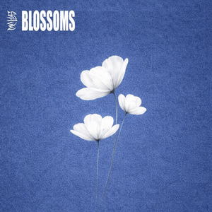 Blossoms