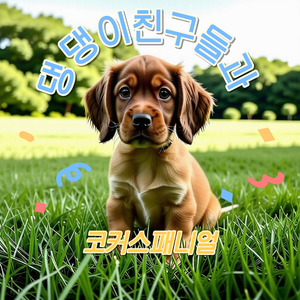 댕댕이 친구들과 코커스패니얼