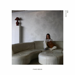 Fake Ideas