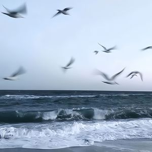 This Town（CVPPY remix）