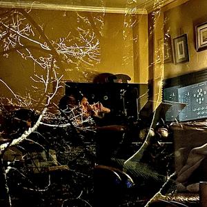 Juan Soto (Diamond Tearduct)