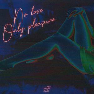 No Love Only Pleasure