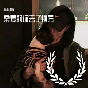 亲爱的你去了何方（翻自 群星）