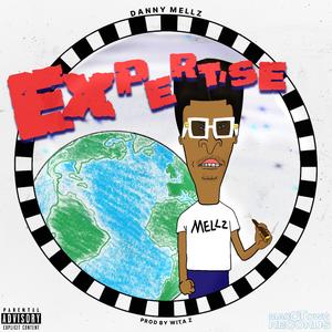 Expertise
