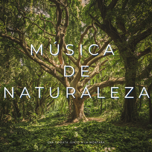 Naturaleza Inspiradora