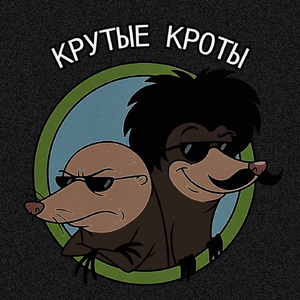 КРУТЫЕ КРОТЫ (SLOWED + REVERB)