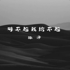 对不起我给不起