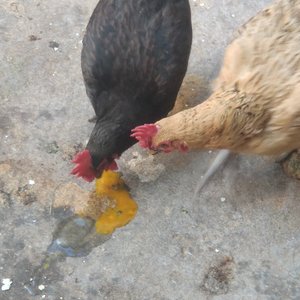 想被你看穿 又怕被你看轻