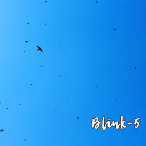 Blink-5