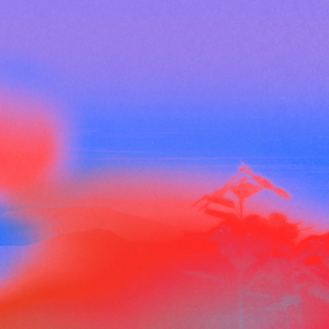 Shining (Fouk Club Mix)