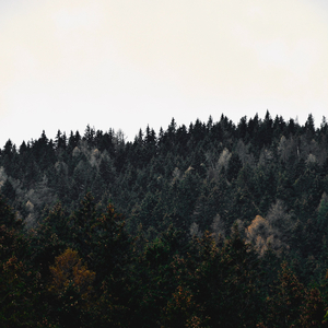 Noche Tranquila En Soledad