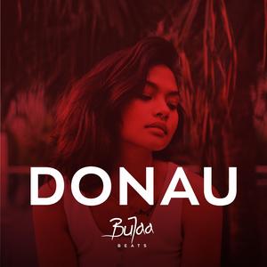 Donau (Instrumental)