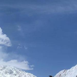 你的微微一笑_9